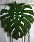 Monstera korvisteline