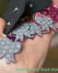Polka Dot rusetti